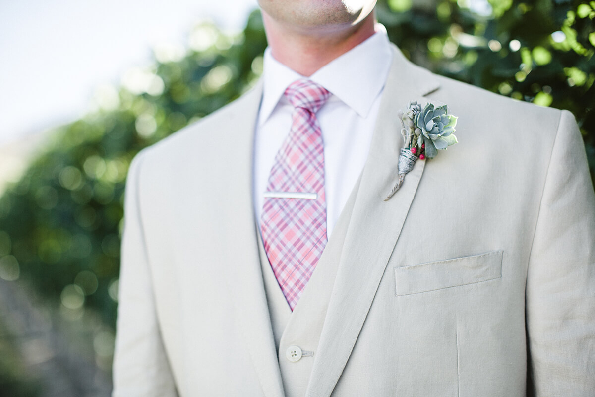 The Allure of Cotton The Allure of Cotton