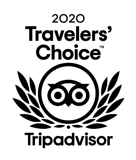 TripAdvisor 2020